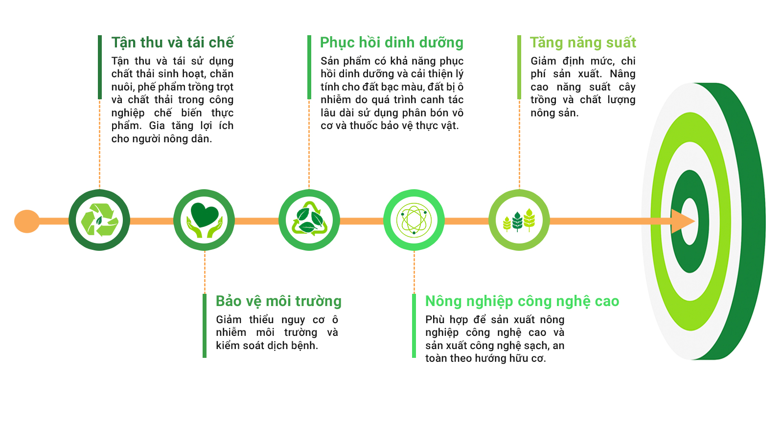 Hình ảnh minh họa