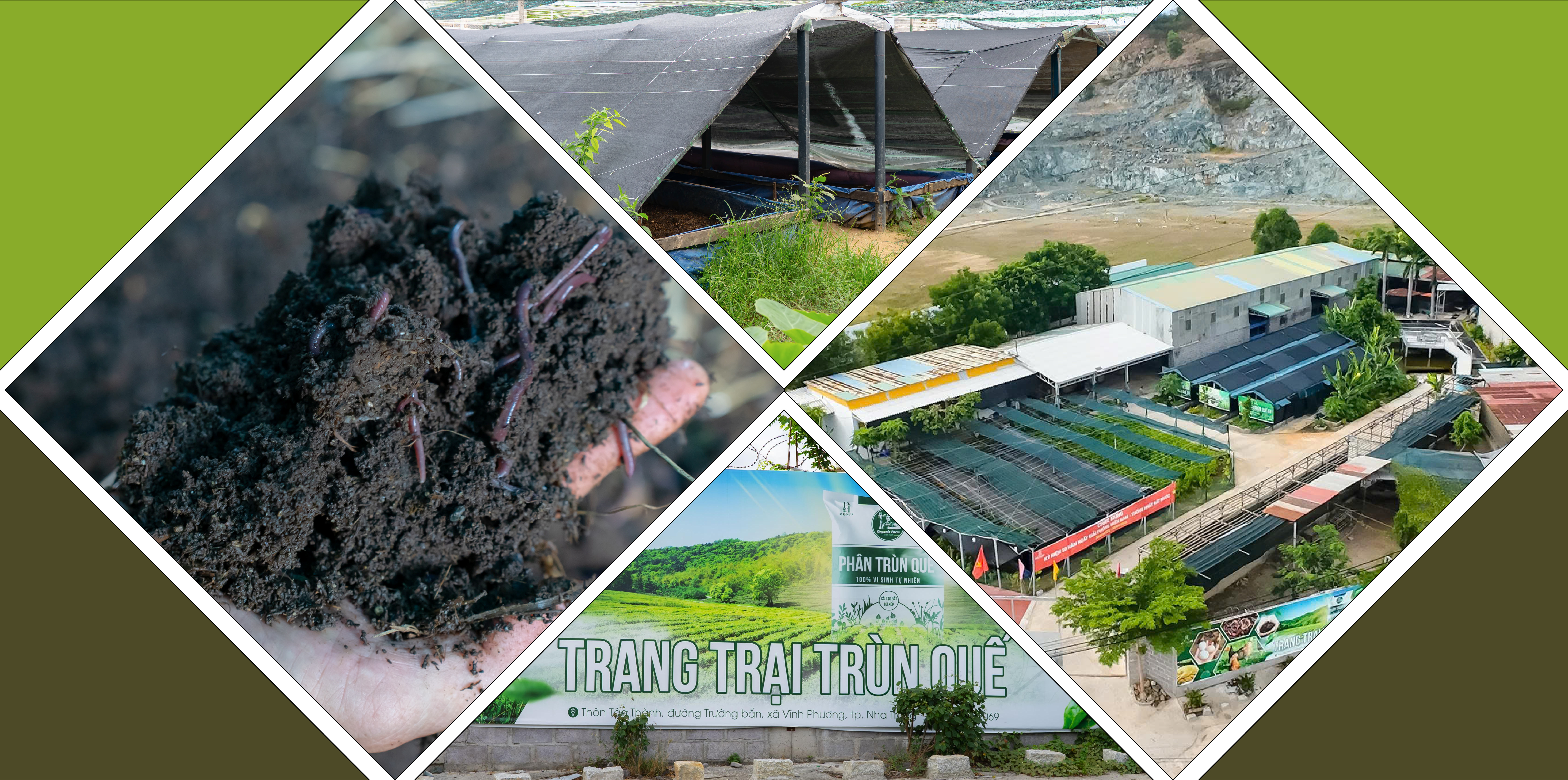 Hình ảnh minh họa