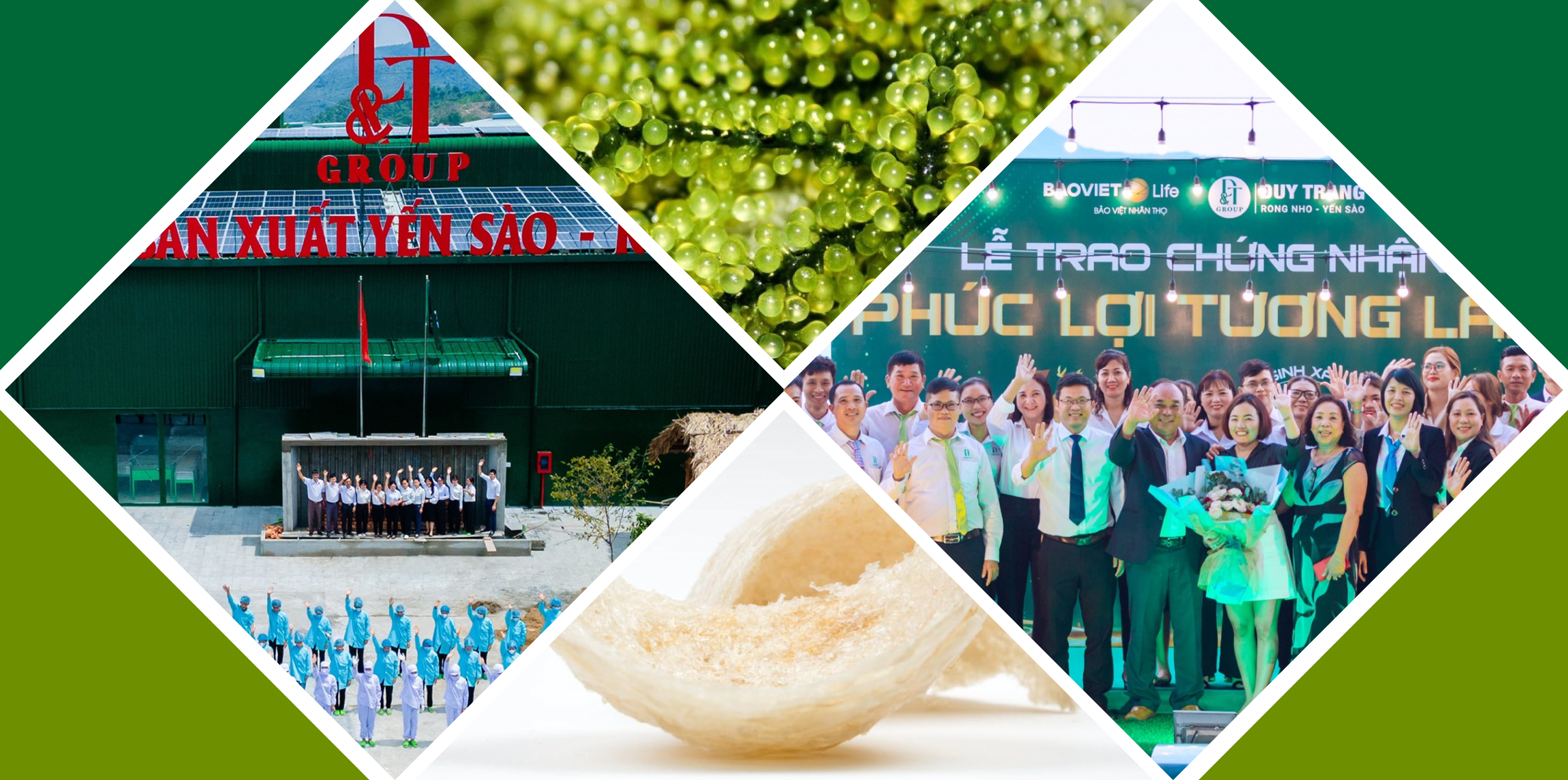 Hình ảnh minh họa