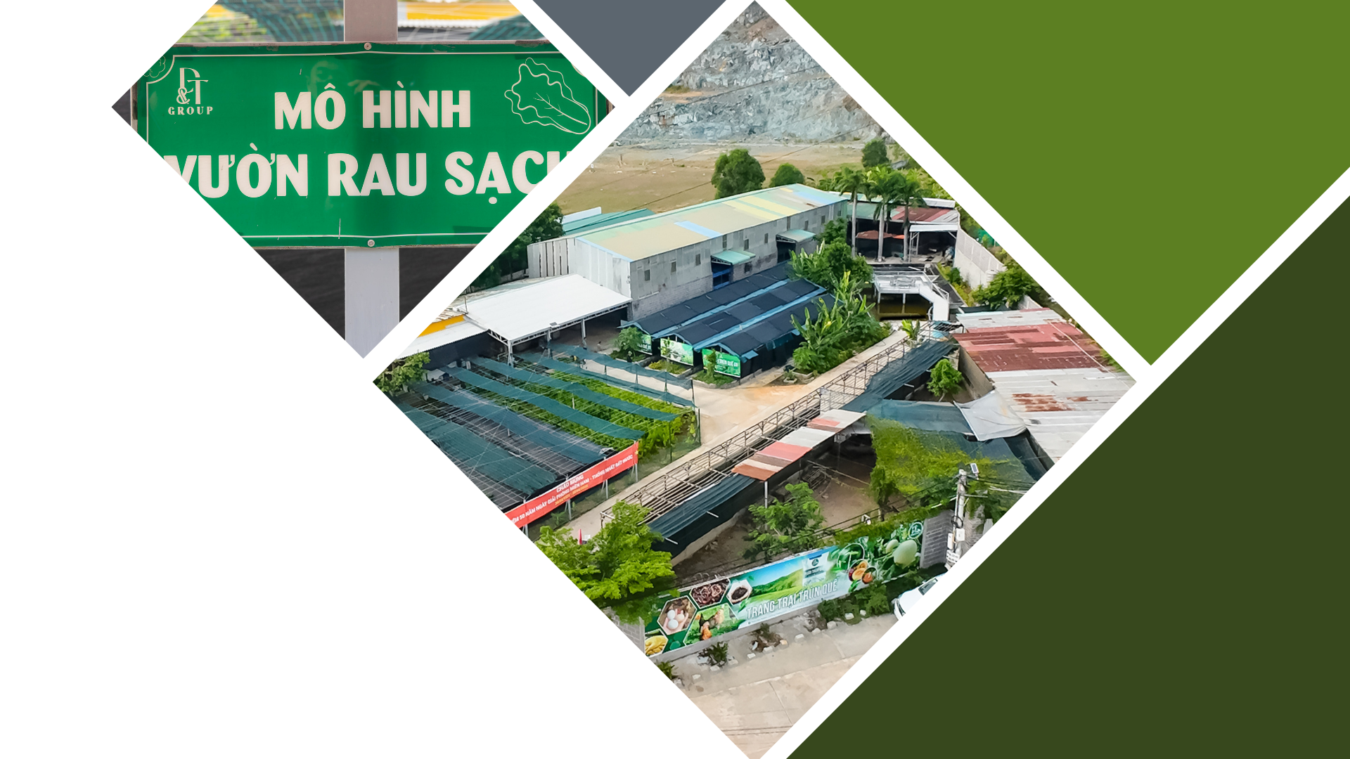 Hình ảnh minh họa