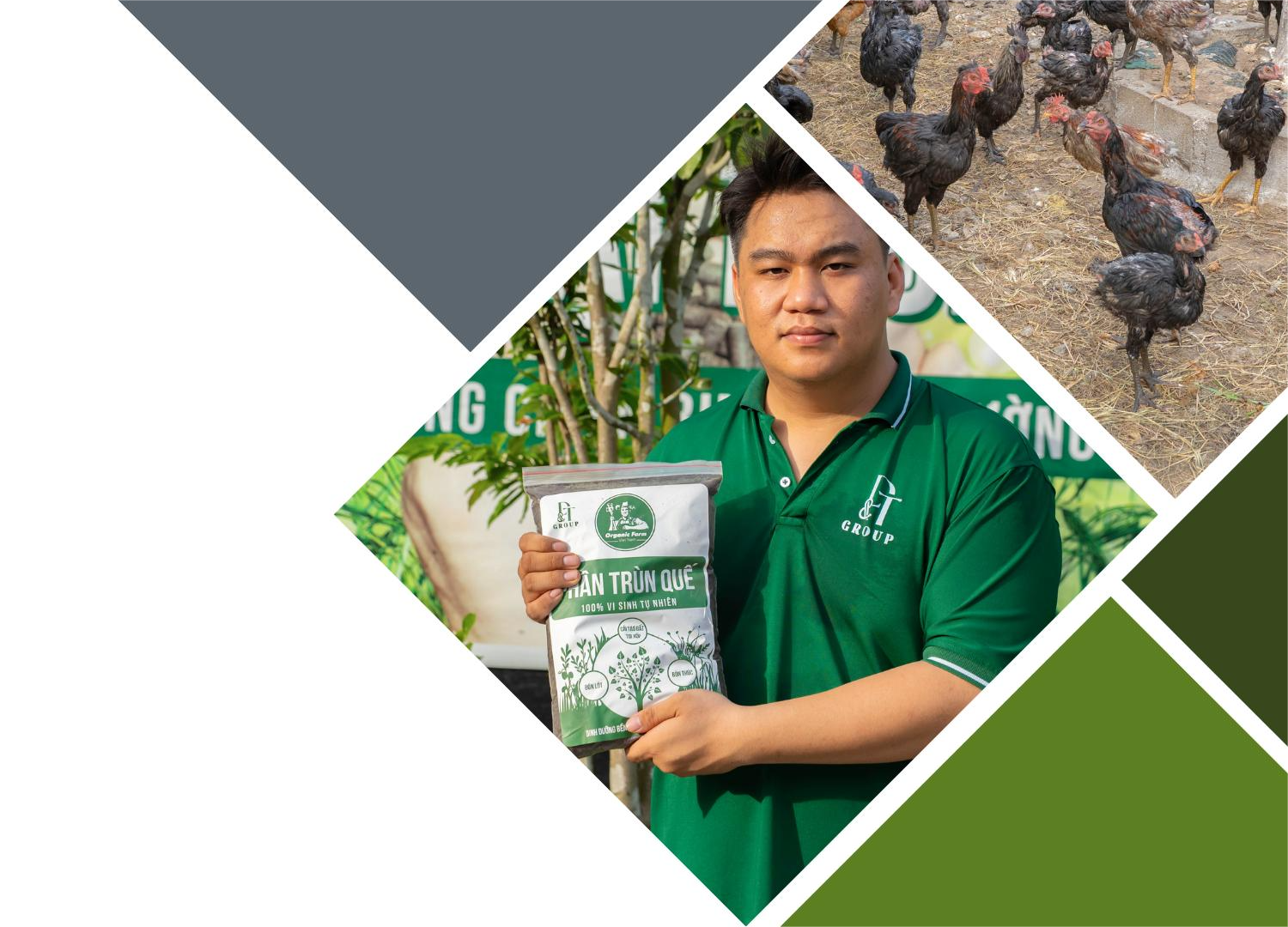 Hình ảnh minh họa